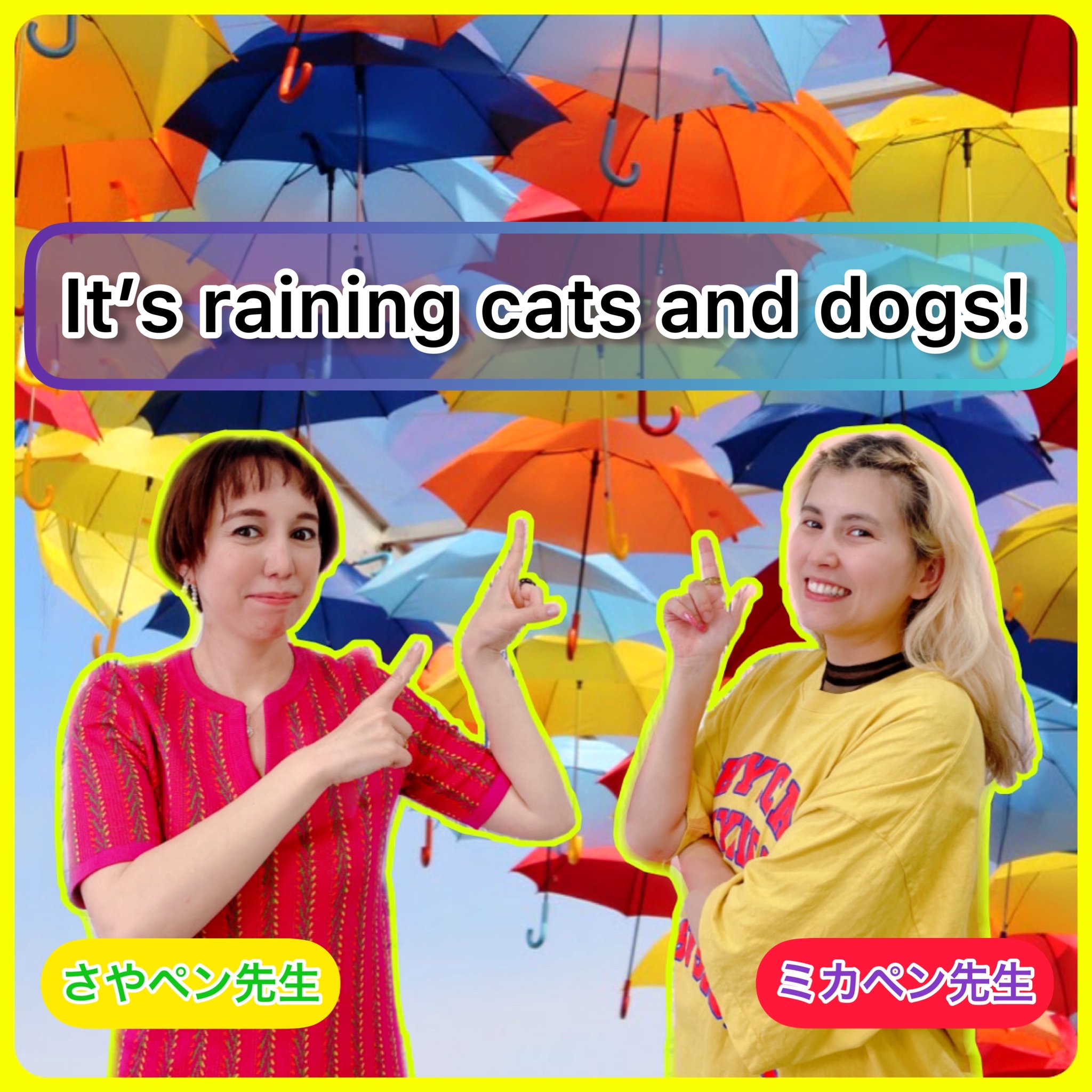 It's raining cats and dogs!