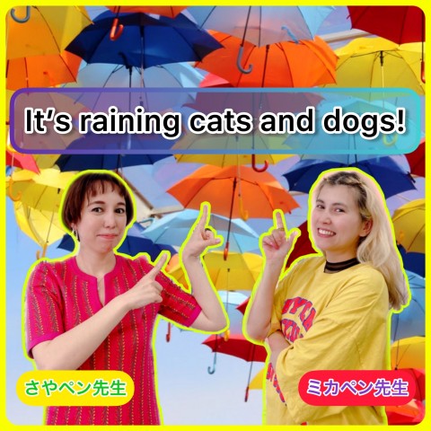 It's raining cats and dogs!