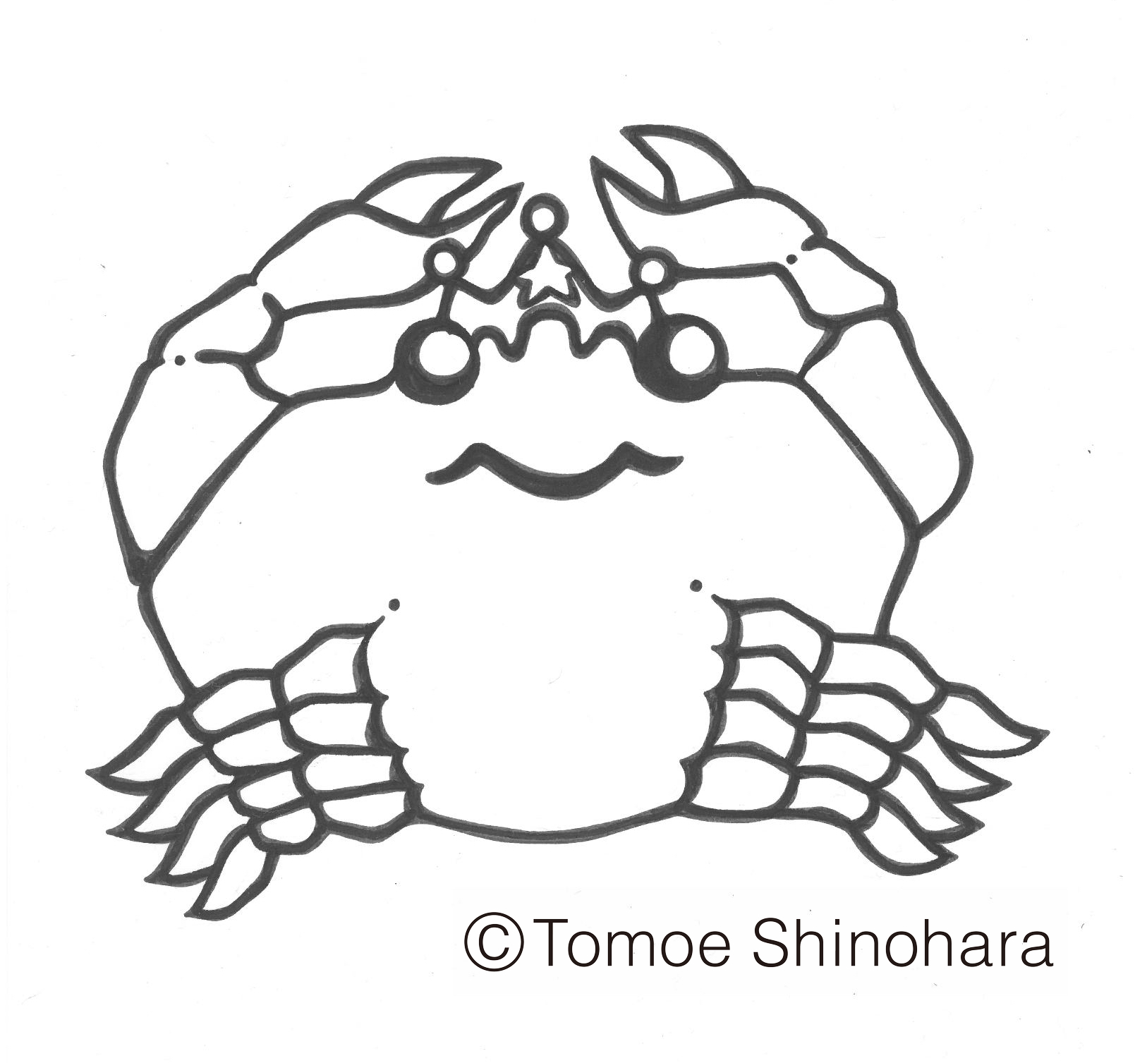 3月29日からの東京の星空情報☆彡