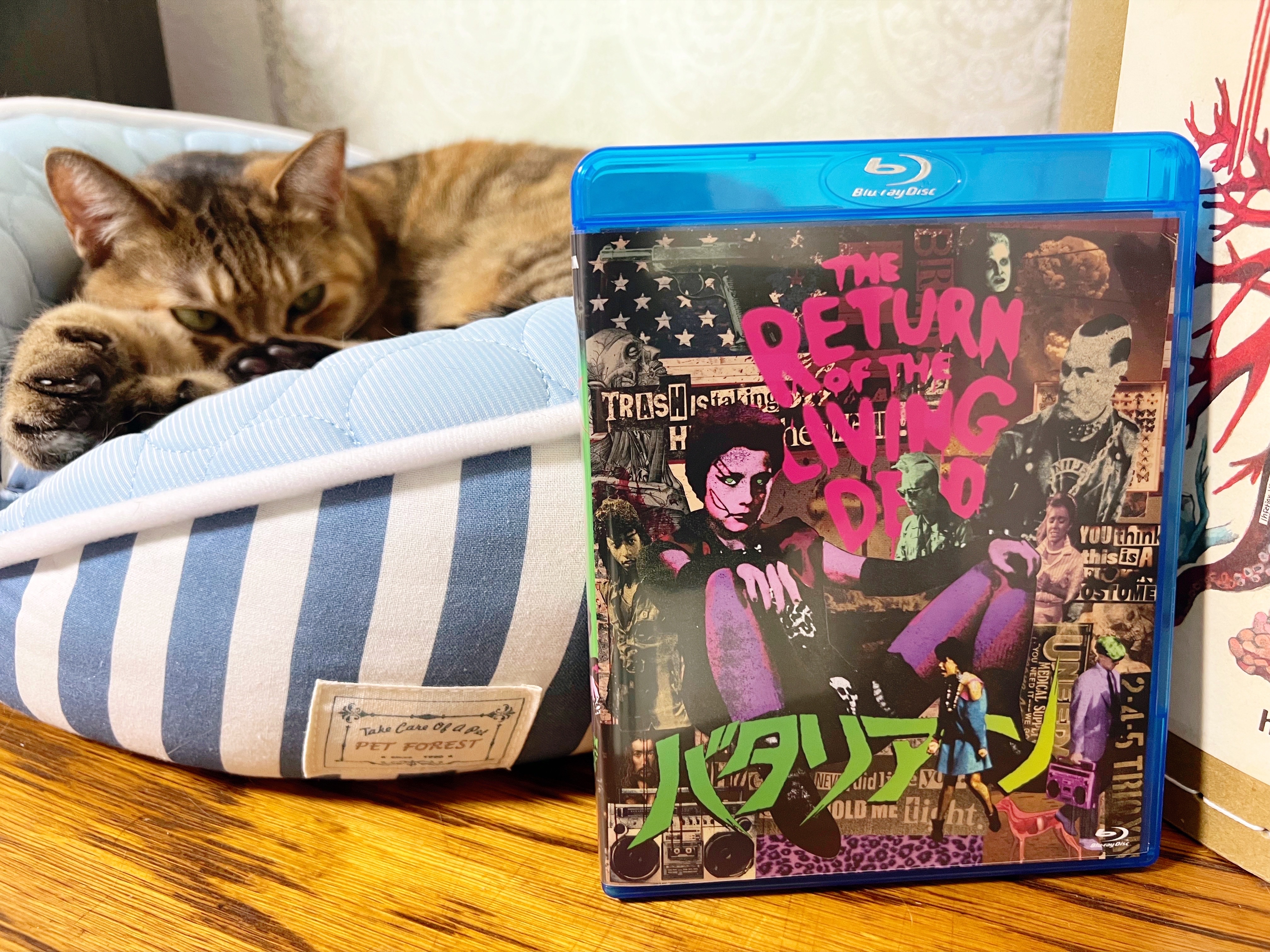 陰陽座 黒猫のねこまんまRADIO|陰陽座 黒猫のねこまんまRADIO 第