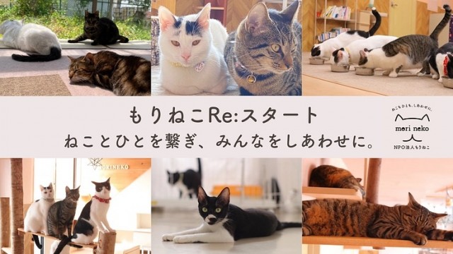 p124788-key-visualのコピー.jpg