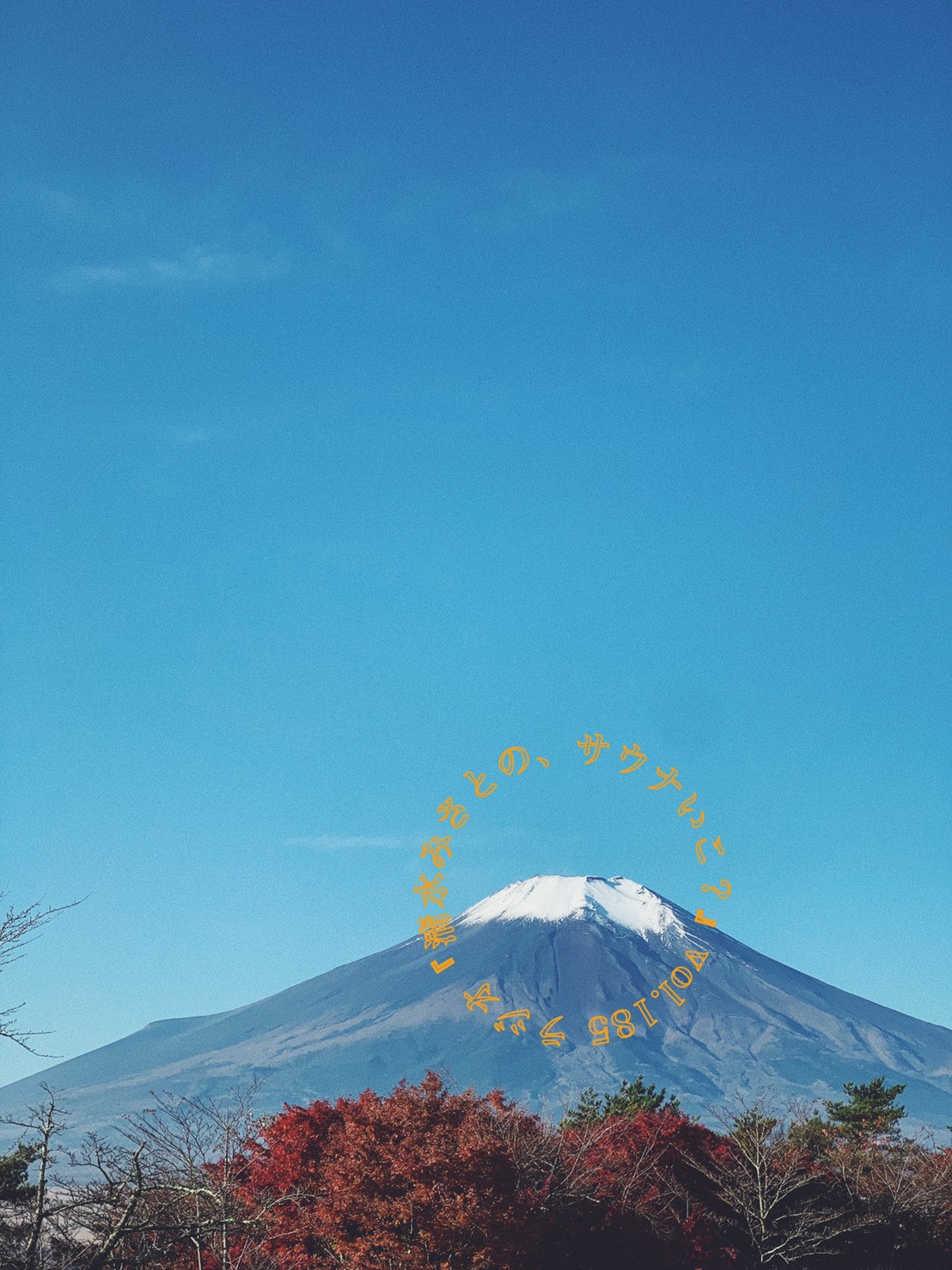 野生のサウナ？ウィスキング集団・しらかばスポーツが凄すぎた♨