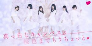 真っ白なキャンバスの桜色までもうちょっと|真っ白なキャンバス|AuDee