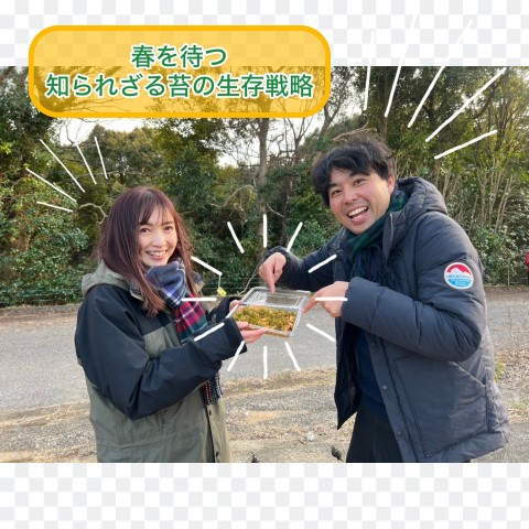 【＃４８　春を待つ、知られざる苔の生存戦略　】～Sato Note