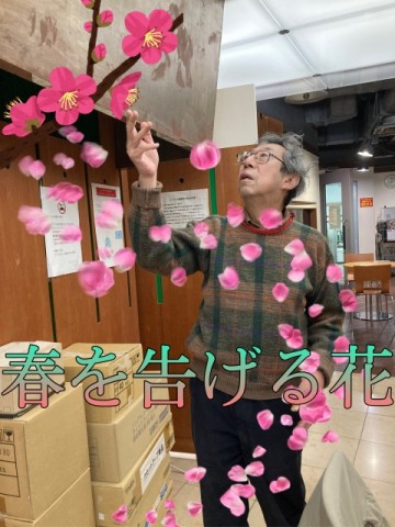 春を告げる花