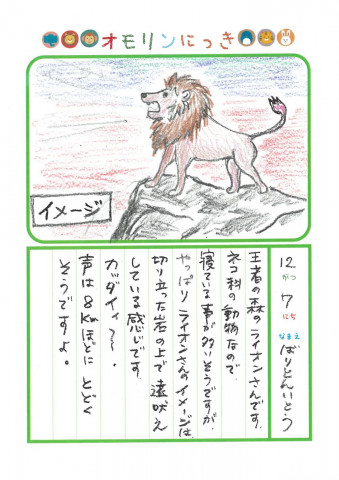 2025年12月7日「ライオンさんをみできましたよ」