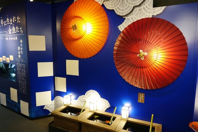 アクア・トト ぎふ　企画展【秋】②.jpg