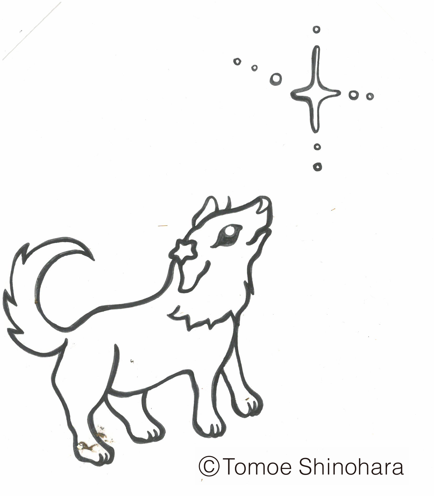 3月8日からの東京の星空情報☆彡