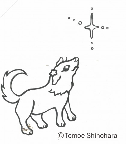 3月8日からの東京の星空情報☆彡