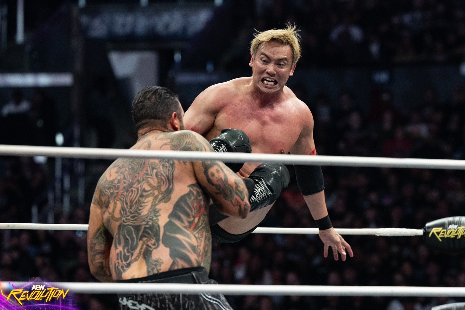 アメリカに帰って、夜な夜な楽しんでいることが&hellip;