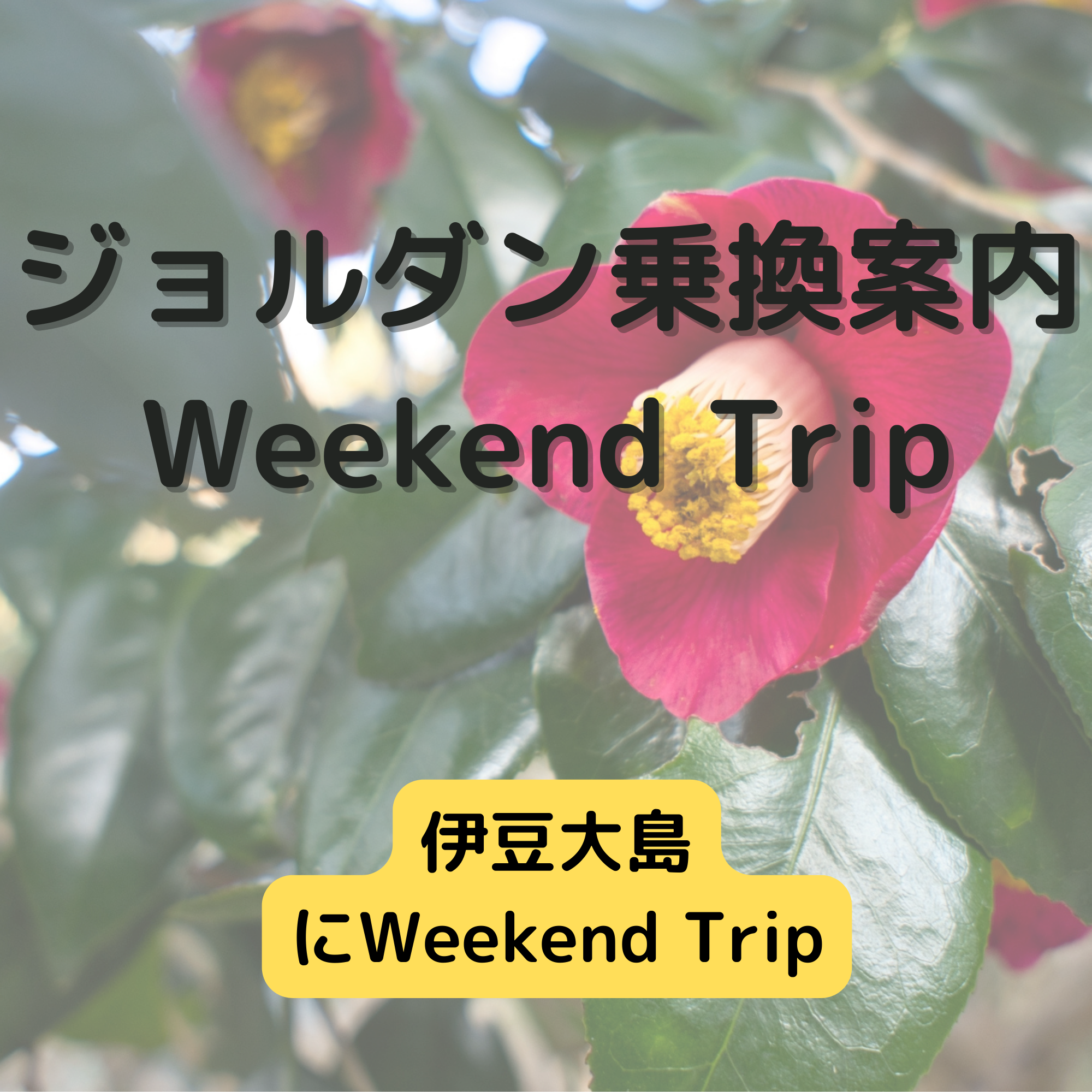 ジョルダン乗換案内　Weekend Trip-伊豆大島-