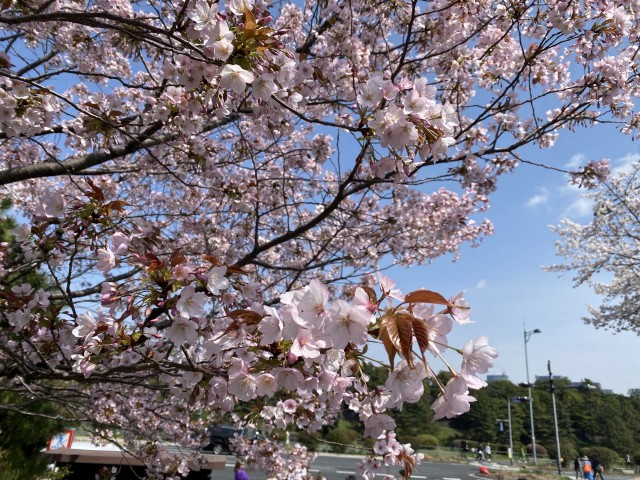 S__417914882.jpg
