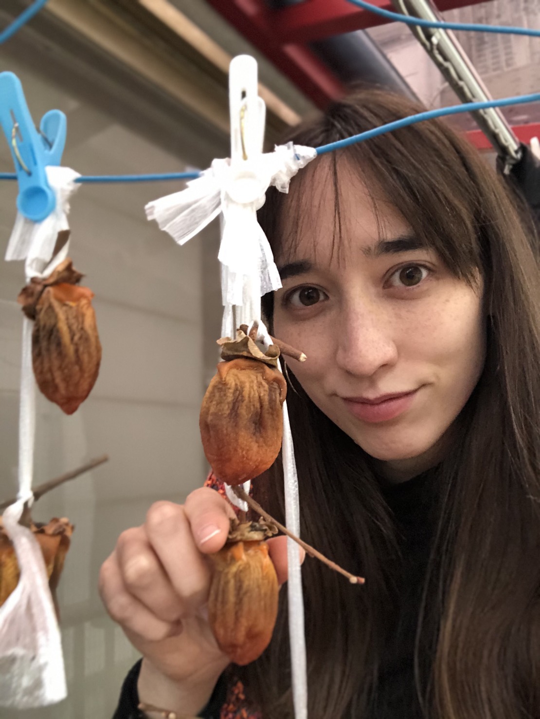 今日の華恵さんの音声コンテンツは、干し柿成長日記！そろそろ食べごろ&hellip;？？