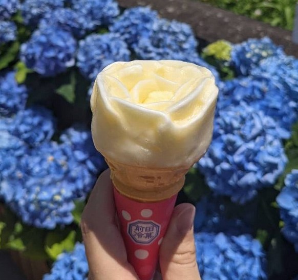 第１回：ちりんちりんアイス