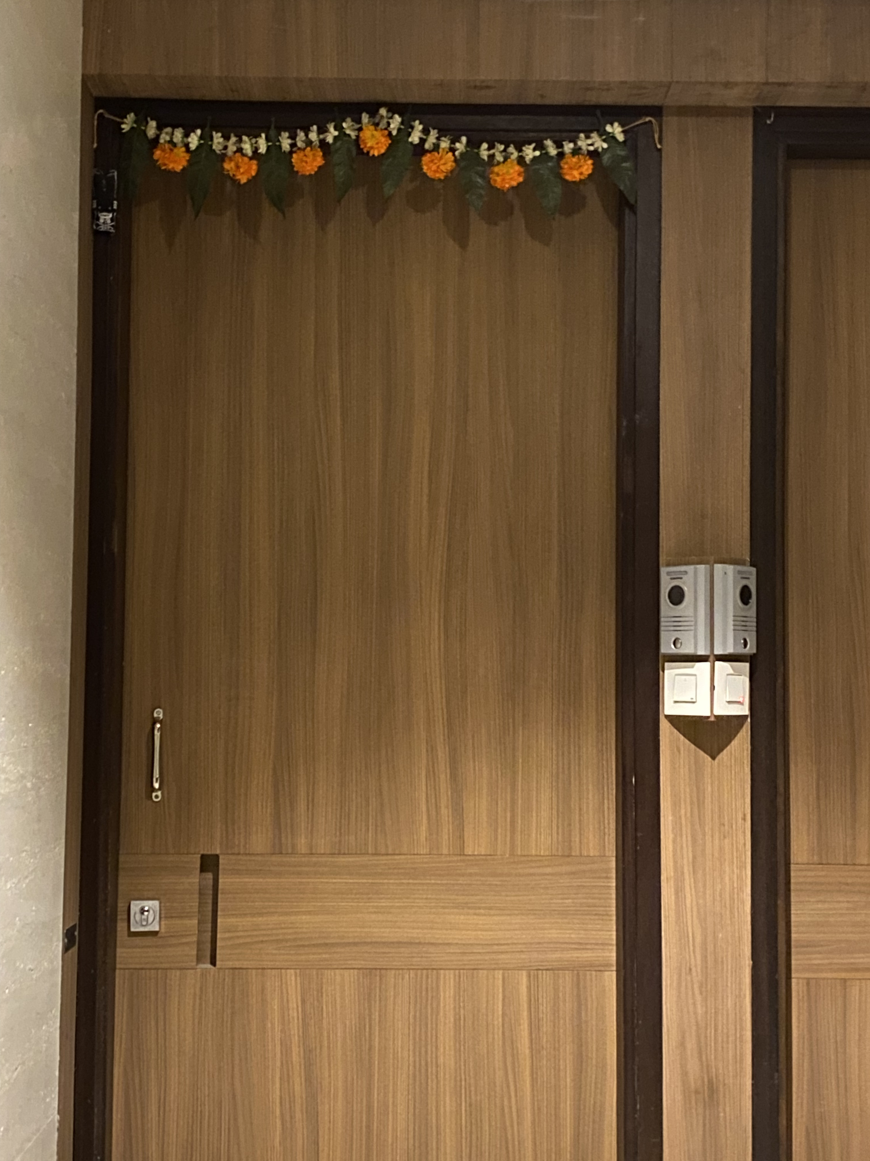 2022年7月4日 (月) ムンバイ「マリーゴールド」