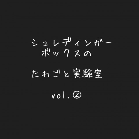 シュレディンガーボックスの　たわごと実験室第2回目