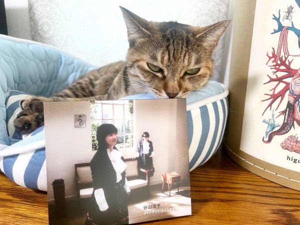 黒猫 SW SE😼 on X: 