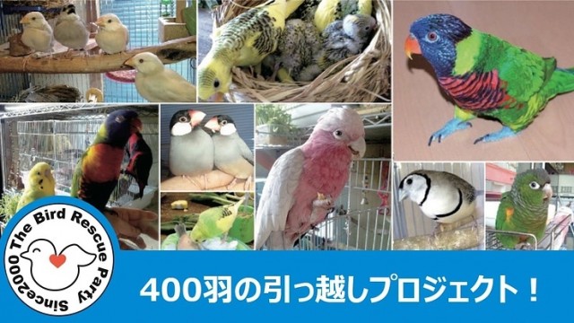 p126788-key-visualのコピー.jpg