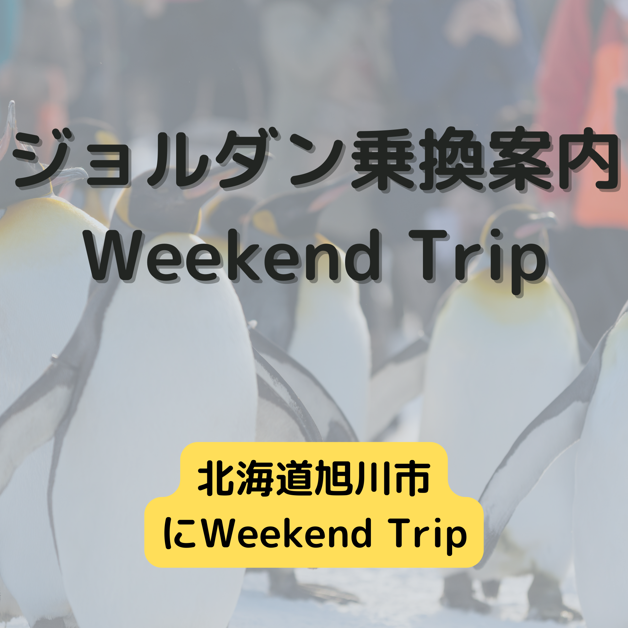 ジョルダン乗換案内　Weekend Trip-北海道旭川市-