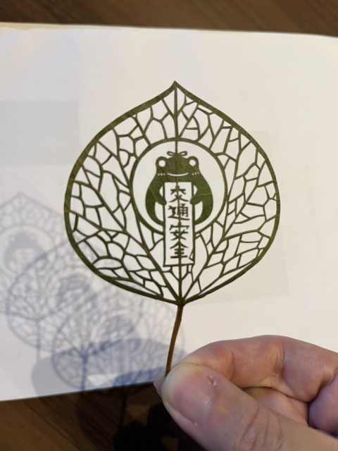 S__92168216_0.jpg