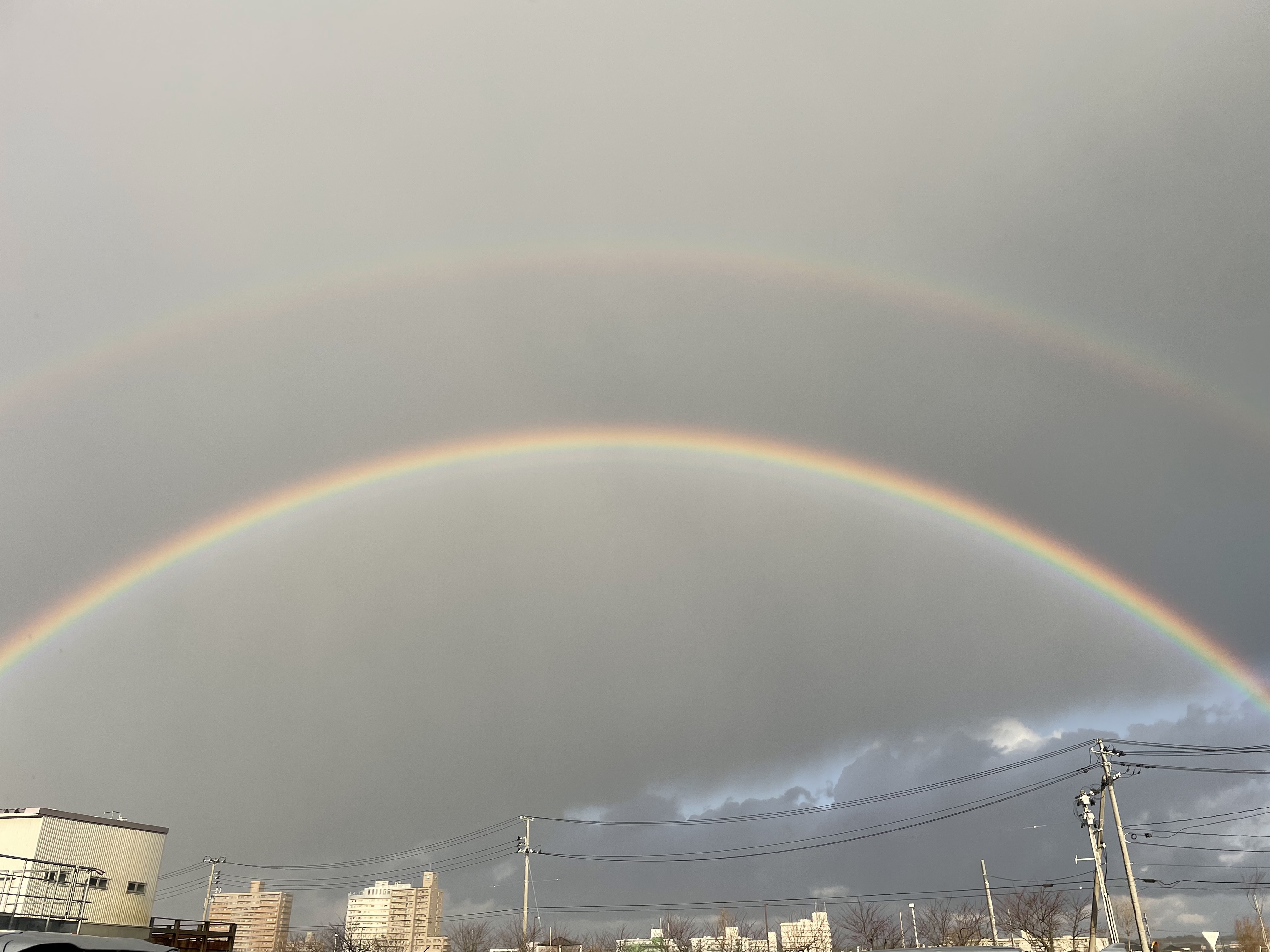 第223回【ジョーダン？じょうだん？】