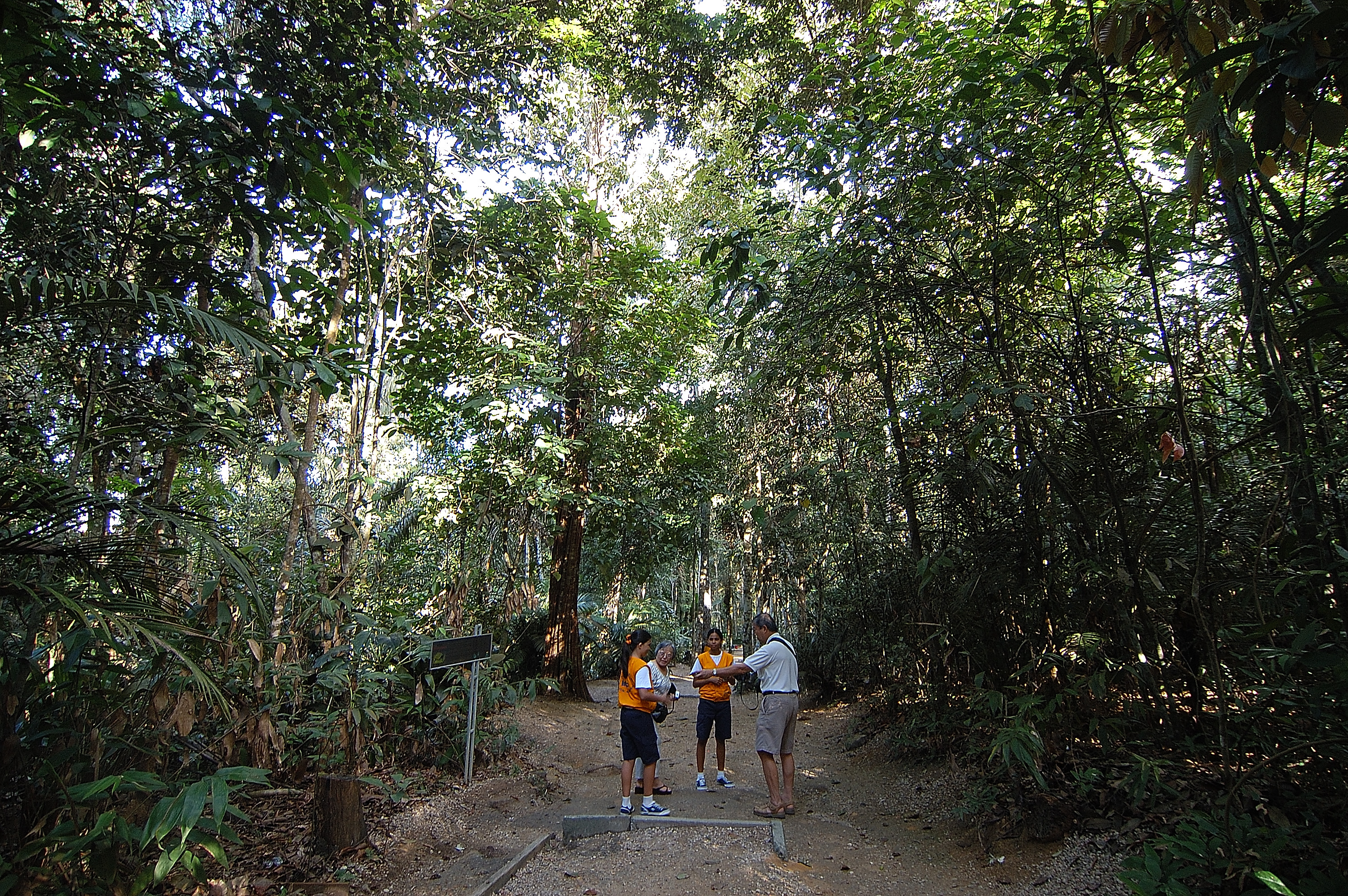 3月24日(金) ブラジル・マナウス「世界最大の熱帯林」