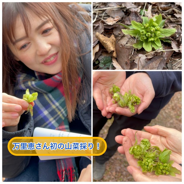 万里恵さん初めての山菜採り.jpg