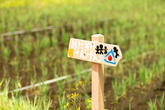 豊根村いただきファーム：草取り編-11.jpg