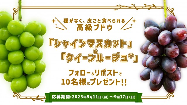 FR_FM??_?? カット_fix.jpg