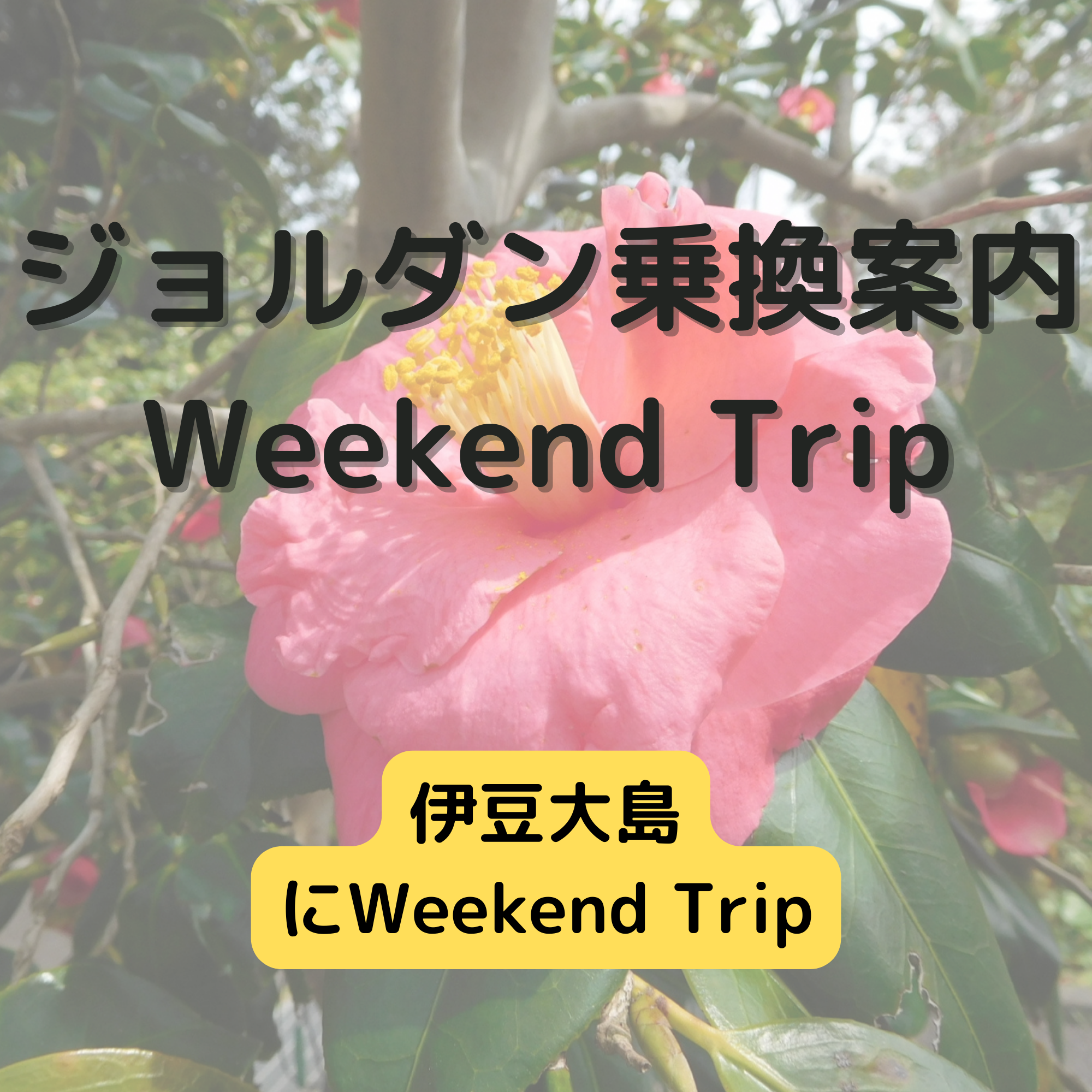 ジョルダン乗換案内　Weekend Trip-伊豆大島 -