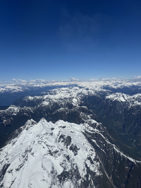 S__24232060.jpg