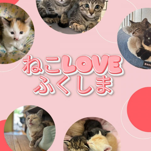 ２０２６年４月２０日放送
