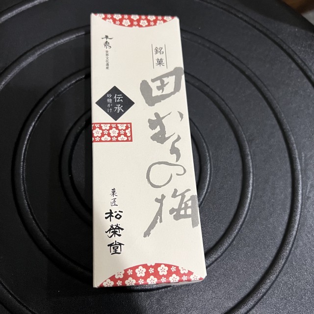 20231104記事3.jpeg