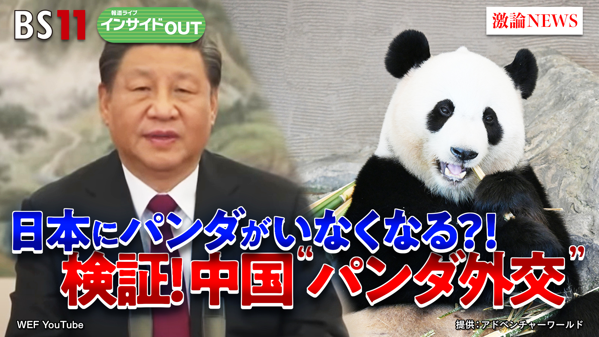 2025年6月18日OA 「日本にパンダがいなくなる!? 中国「パンダ外交」の行方」