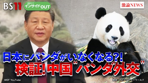 2025年6月18日OA 「日本にパンダがいなくなる!? 中国「パンダ外交」の行方」