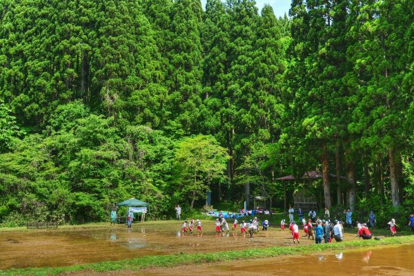 11月29日(火) 秋田県・潟上市『草木谷』