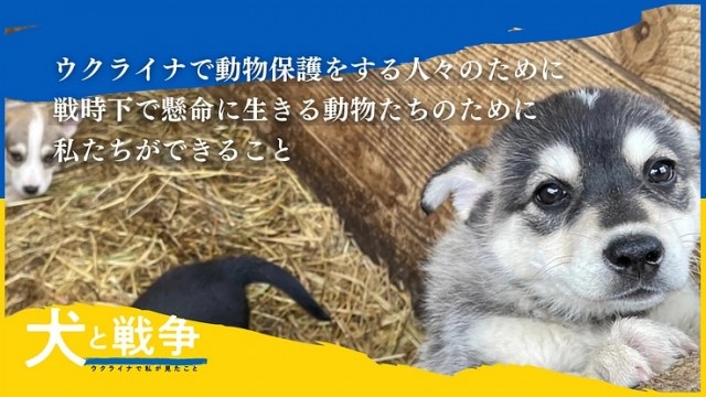 p153526-key-visualのコピー2.jpg