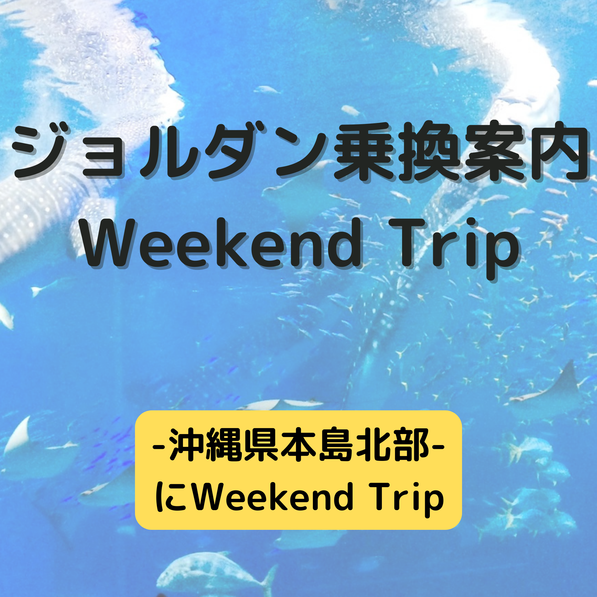 ジョルダン乗換案内　Weekend Trip-沖縄県本島北部-