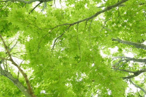 オカダ選手の近況色々！