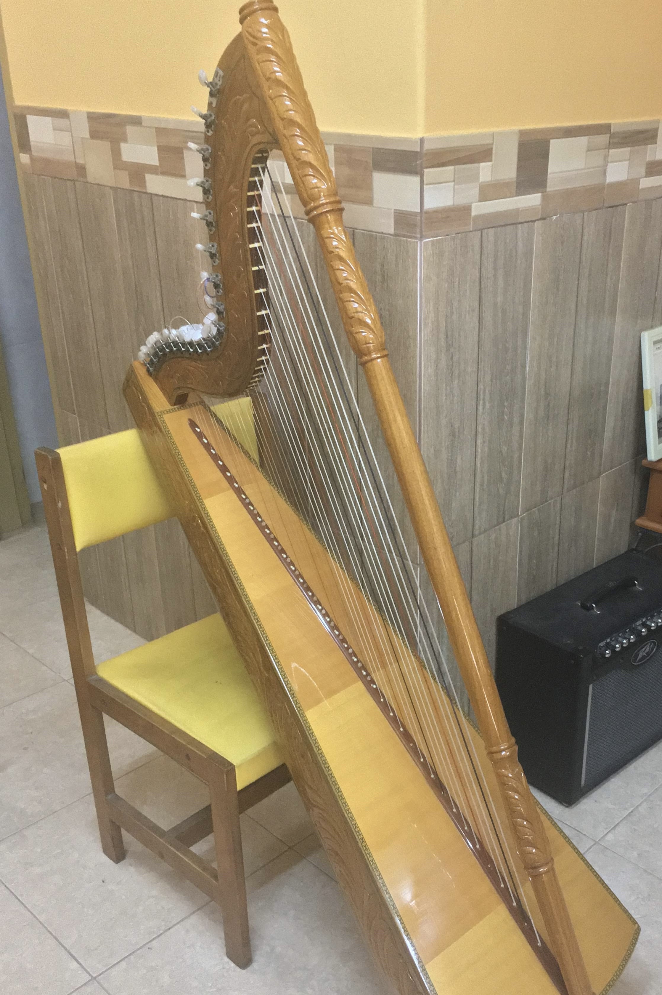 Paraguayan Harp 37 Strings パラグアイ ハープ アルパ 弦楽器 - 楽器 