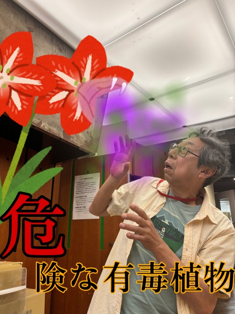 392836CB-5344-4999-97A5-D854D2E3BA54.JPEG