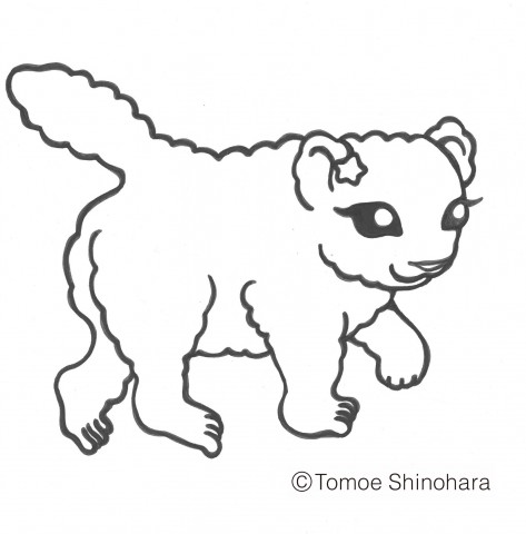 3月15日からの東京の星空情報☆彡