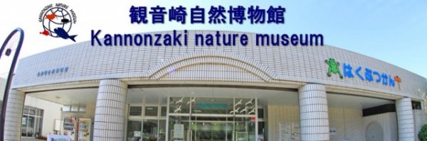 観音崎自然博物館「ビーチコーミングと漂着物調べ」