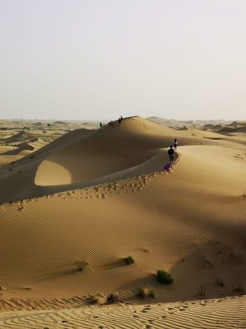 8月18日(木)アブダビ「非日常」