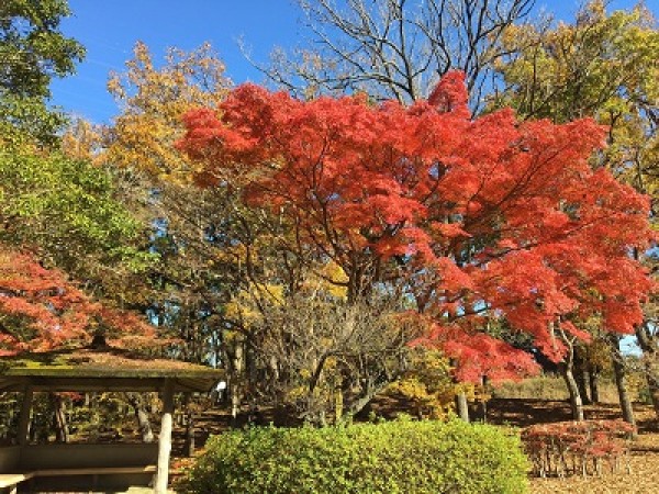 ■第380話　まわりのひとを幸せにする  渡辺崋山