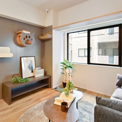 #63 猫と飼い主のための賃貸リノベーション『猫特化賃貸』