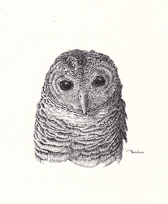 portrait serried Ⅳのコピー.jpg