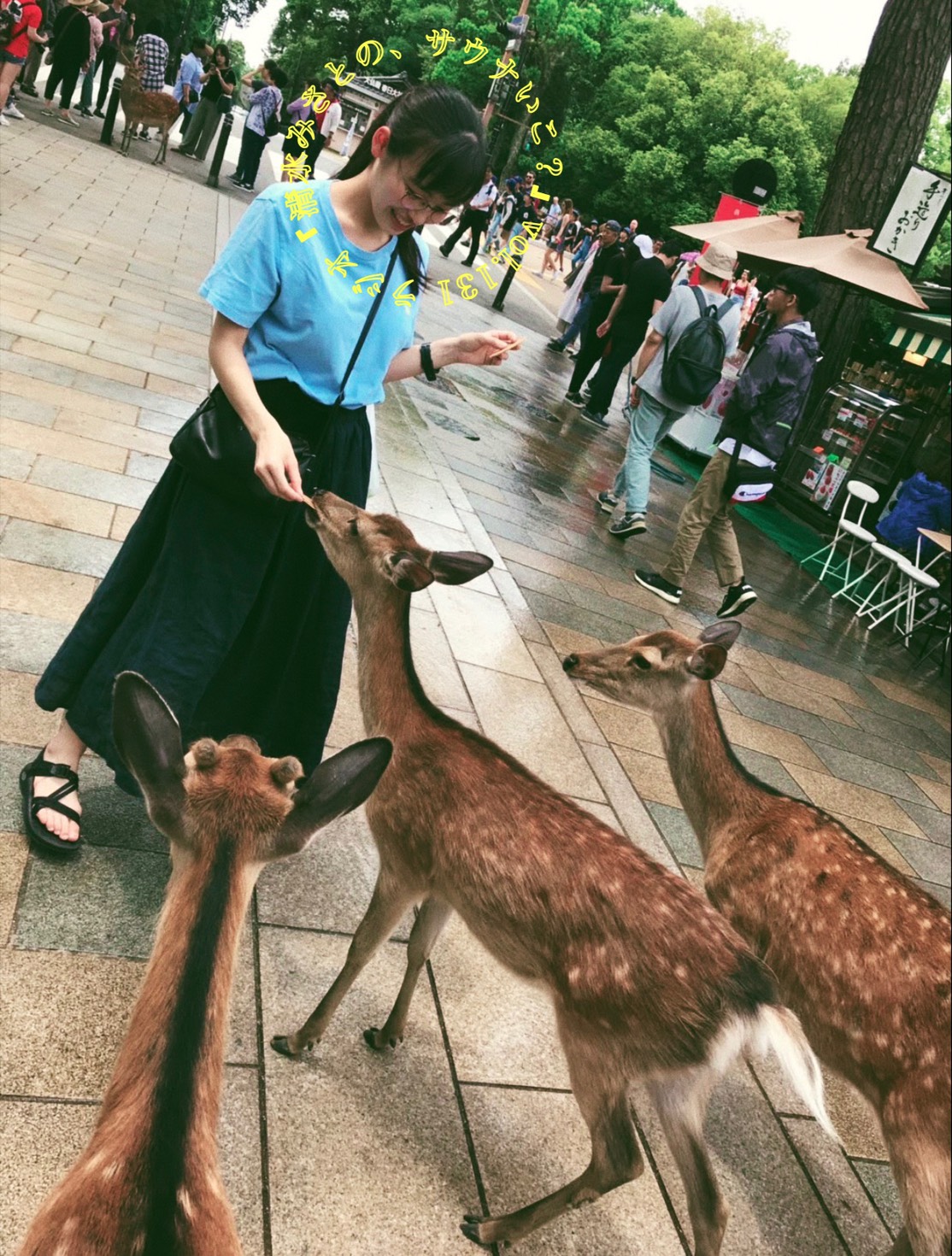 一日に3万歩！？その日は一体なにをしていたのか&hellip;