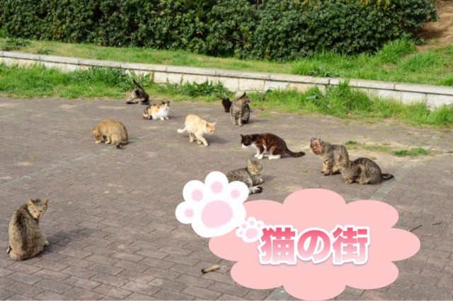 F49D2AF7-BFEB-41A1-AE84-5DC3CBB6EADF.JPEG