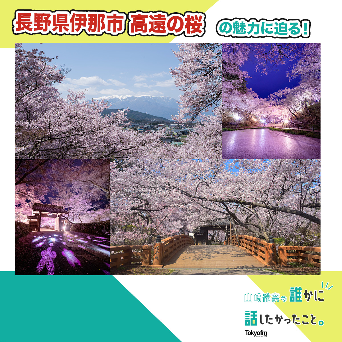 【長野県伊那市、高遠の桜をピックアップ！】誰かに話したくなるにっぽんの話　MORE